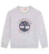 Timberland Sweatshirt - Kina Grey