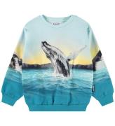 Molo Sweatshirt - Mix - Whale Hopp