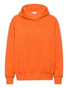 Sweat Hoodie Orange Enkel Studio