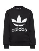 Trefoil Crew Black Adidas Originals