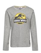 Long-Sleeved T-Shirt Grey Sun City Jurassic Park