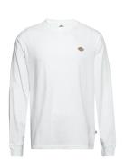 Ls Mapleton Tee White Dickies