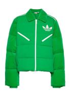 Velvet Puffer Green Adidas Originals