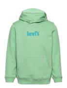 Levi's Poster Logo Pullover Hoodie Green Levi's