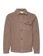 Hco. Guys Sweatshirts Brown Hollister