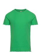 Pkdora Ss O-Neck Solid Rib Top Green Little Pieces