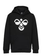 Hmlcuatro Hoodie Black Hummel