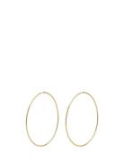 Sanne X-Large Hoop Earrings Gold-Plated Gold Pilgrim