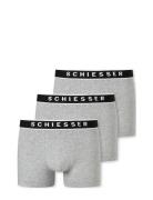 Shorts Grey Schiesser