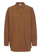 Pippars Shirt Brown Résumé