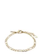 Dale Recycled Open Curb Chain Bracelet Gold Pilgrim