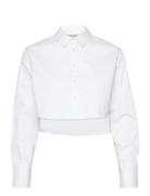 Averie Shirt White AllSaints