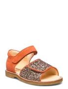 Sandals - Flat - Open Toe - Clo  ANGULUS