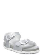 Sl Dolphin Jelly Patent Silver Silver Scholl