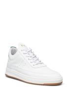 Low Top Bianco Green White Filling Pieces