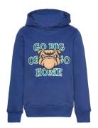 Tnhaddon Hoodie Blue The New