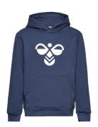 Hmlcuatro Hoodie Navy Hummel