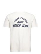 Cedar Graphic T-Shirt White GANT