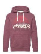 Cl Great Outdoors Graphic Hood Burgundy Superdry