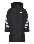 3-Stripes Padded Jacket Black Adidas Sportswear