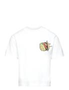 Tnfaedo Os S_S Tee White The New