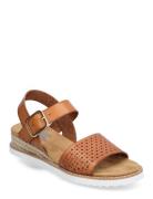 Womens Bobs Desert Kiss Sandal - Sunny Flair Brown Skechers