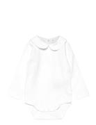 Body Ls W. Collar White Fixoni