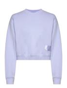 Jumper Cropped Blue Replay