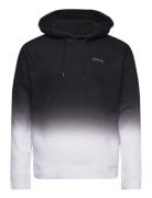 Hco. Guys Sweatshirts Black Hollister