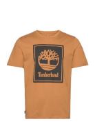 Stack Logo Short Sleeve Tee Wheat Boot/Black Orange Timberland