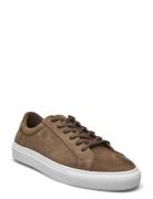 Classic Sneaker -Grained Leather Brown S.T. VALENTIN
