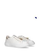 Low Cut Lace-Up Sneaker White Tommy Hilfiger
