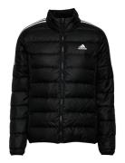 Essentials Down Jacket Black Adidas Sportswear