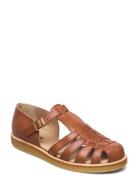 Sandals - Flat - Closed Toe - Op Brown ANGULUS