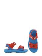 Spiderman Sandal Patterned Leomil