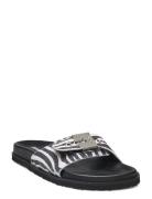 Sl Pescura Anne Printed Suede Black Scholl