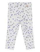 Legging Printed Patterned Petit Piao