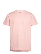 Tropics Pink Pica Pica