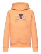 Archive Shield Hoodie  GANT