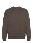 Nelson Organic Crew Khaki Fat Moose