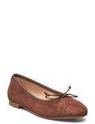 Ballerina Classic - Fur Brown Apair