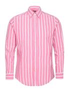 Summer Stripe Shirt - Classic Fit Pink Morris