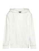 Nlfherry Ls Sweat W Hood Cream LMTD