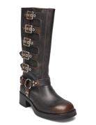 Battle Boot Brown Steve Madden