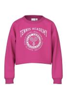 Nkfvanita Ls Short Boxy Sweat Unb Pink Name It