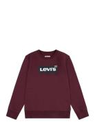 Fw-Crew Brown Levi's