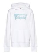 Lvb Palm Batwing Fill Hoodie / Lvb Palm Batwing Fill Hoodie White Levi...