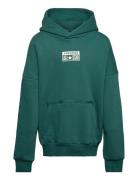 Fleece Po Hoodie Green Converse