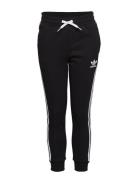 Trefoil Pants Black Adidas Originals