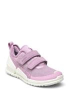 Biom K1 Pink ECCO